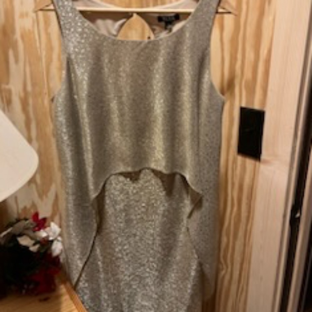SLNY: SL Fashions New York Dress